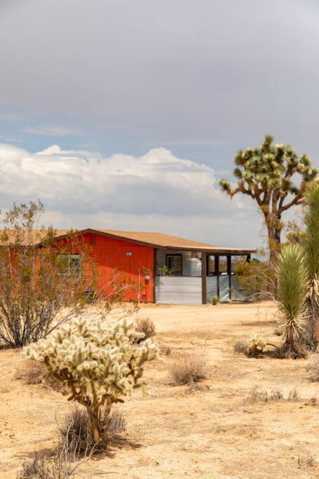 Cryptic Cabin-Tranquil Bohemian Getaway W/Hot Tub Villa Yucca Valley Luaran gambar